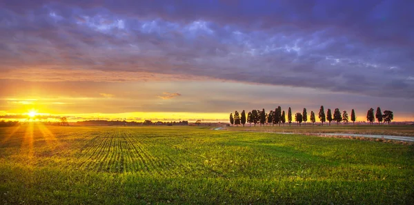 Sunset landscape in Maremma. Rural road and cypress trees. Tusca — Stock Photo, Image