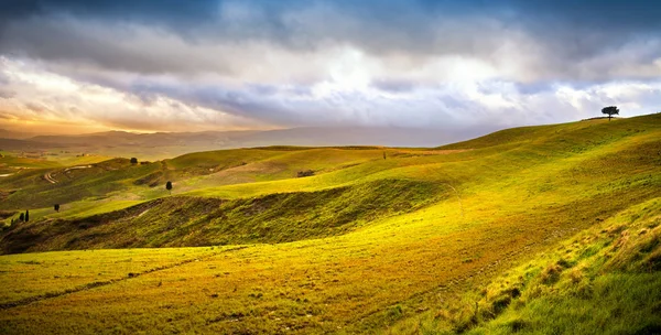 Volterra panorama, glooiende heuvels, bomen en groene velden op zonnen — Stockfoto