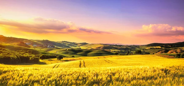 Printemps toscan, collines vallonnées au coucher du soleil. Paysage rural. Whaet ! , — Photo