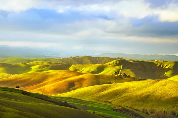 Tuscany, pemandangan matahari terbenam pedesaan. Countryside dan pohon . — Stok Foto