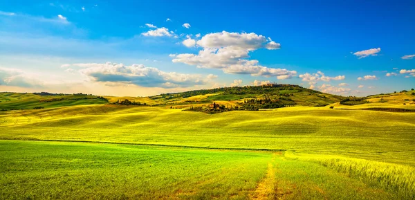 Primavera da Toscana, vila medieval de Pienza e campo. Siena. , — Fotografia de Stock