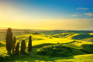 Toskana, kırsal günbatımı manzara. Beyaz yol ve servi ağaçları. V