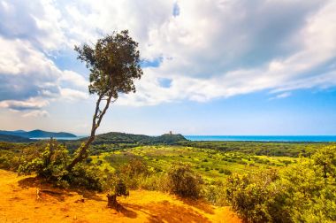 Maremma bölge veya Uccellina Park panoramik manzaralı. Toskana, ben