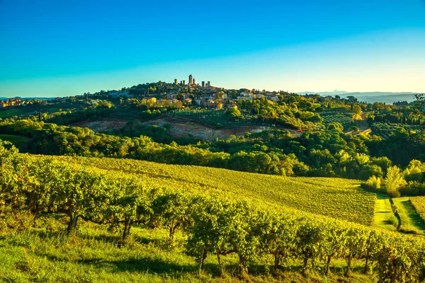 San Gimignano panoramik ortaçağdan kalma şehir manzarası ve vineyar kuleleri