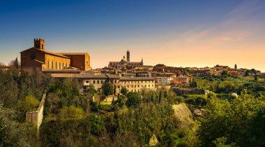 Siena günbatımı panoramik manzarası. San Domenico ve Duomo Katedrali