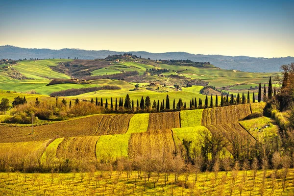 Tuscany panorama, böljande kullar, träd och gröna fält. Italien — Stockfoto