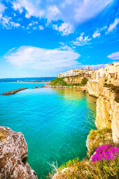 Vieste stad op de rotsen, Gargano, Apulië, Italië. — Stockfoto