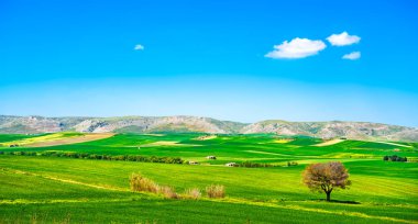 Apulia kırsal manzarası, yuvarlanan tepeler ve yeşil arazi manzarası. Murge Poggiorsini, Bari, İtalya Avrupa