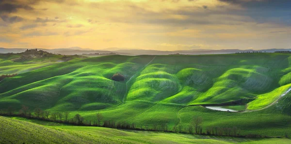Panorama della Toscana, dolci colline, alberi e campi verdi. Italia — Foto Stock