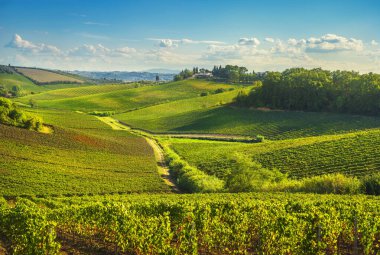 Gün batımında Chianti üzüm bağları ve panorama. Vinci, Toskana, İtalya