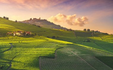 Langhe üzüm bağları manzarası, Barolo ve La Morra, Piedmont, İtalya Euro