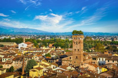 Lucca panoramik şehir ve Guinigi kulesi manzaralı. Toskana, 