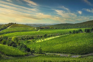 Gaiole in Chianti vineyards and panorama at sunset. Tuscany, Ita clipart