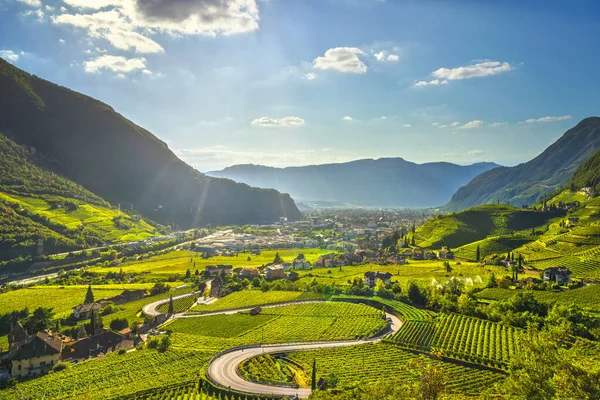 Szőlőültetvények kilátás Santa Maddalena Bolzano. Simor István — Stock Fotó