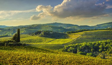 Panzano Chianti bağ ve panorama adlı günbatımı. Toskana, Ita