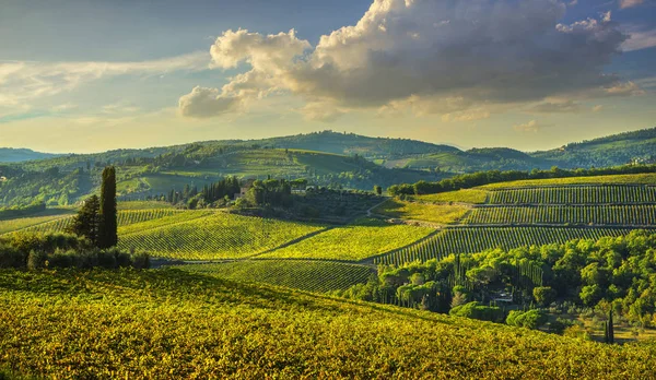 Panzano em vinhedo Chianti e panorama ao pôr do sol. Toscana, Ita. — Fotografia de Stock