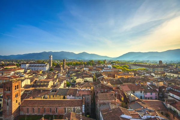 Lucca panoramisch uitzicht op de stad en de kathedraal van San Martino. T — Stockfoto