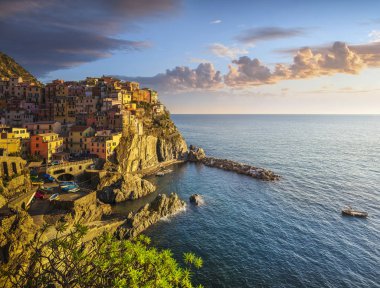 Manarola village, rocks and sea. Cinque Terre, Italy. clipart
