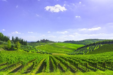 Bir Radda in Chianti bağ ve panorama adlı günbatımı. Toskana, İtalya