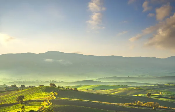 Tuscany countryside misty panorama, rolling hills and green fiel — Stock Photo, Image