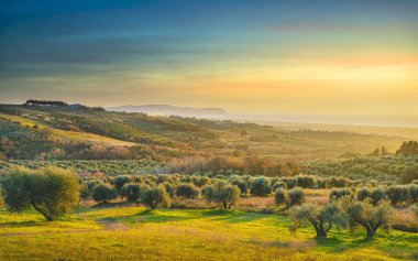 Maremma günbatımı panorama. Kırsal, deniz ve Elba ufukta. S