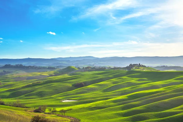 Tuscany panorama, lankás dombok, a fák és a zöld mezők. Olaszország — Stock Fotó