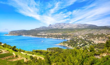 Cassis route des ekolojikolarak doğal yoldan defne. Cote Azur, Provenc