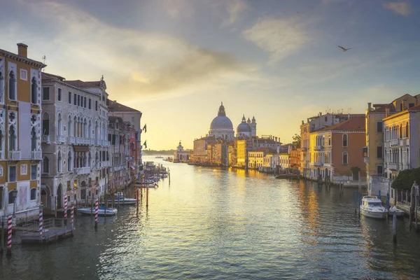 Venice Canal Grande, zabytkowy kościół Santa Maria della Salute w — Zdjęcie stockowe