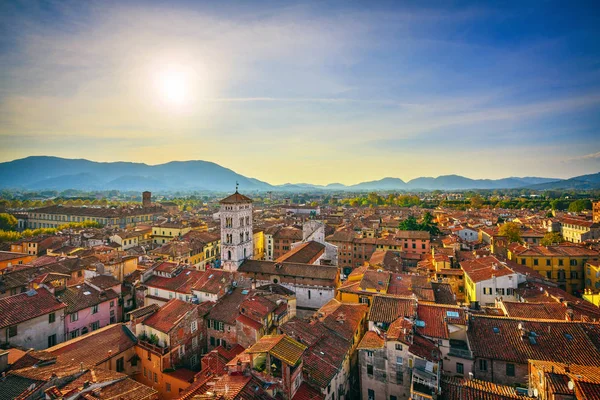 Lucca panoramic aerial view of city and San Michele Cathedral. T — Stockfoto