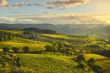 Panzano Chianti bağ ve panorama adlı günbatımı. Toskana, Ita