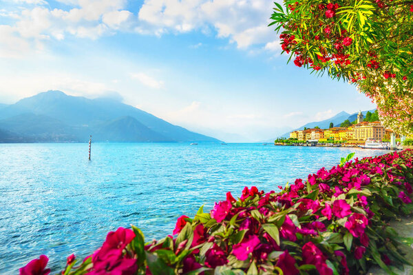 Bellagio town and flowers in Como lake district. Italian traditional lake village. Italy, Europe.