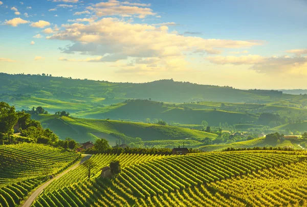 Langhe vineyards sunset panorama, Grinzane Covour, Piedmont, Ita — Stock Photo, Image