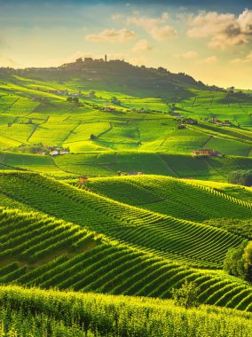 Langhe üzüm bağları manzarası, Barolo ve La Morra, Piedmont, İtalya Euro