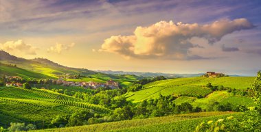 Langhe üzüm bağları manzarası, Barolo ve La Morra, Piedmont, İtalya Euro