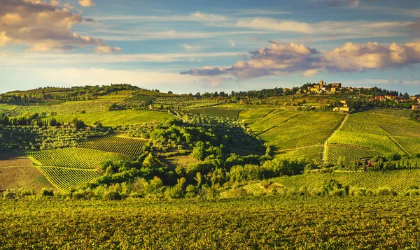 Panzano winnic Chianti i panorama o zachodzie słońca. Toskania, Ita — Zdjęcie stockowe