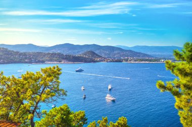 Cannes La Napoule defne görünümü. Fransız Riviera, Azure sahil, Provenc