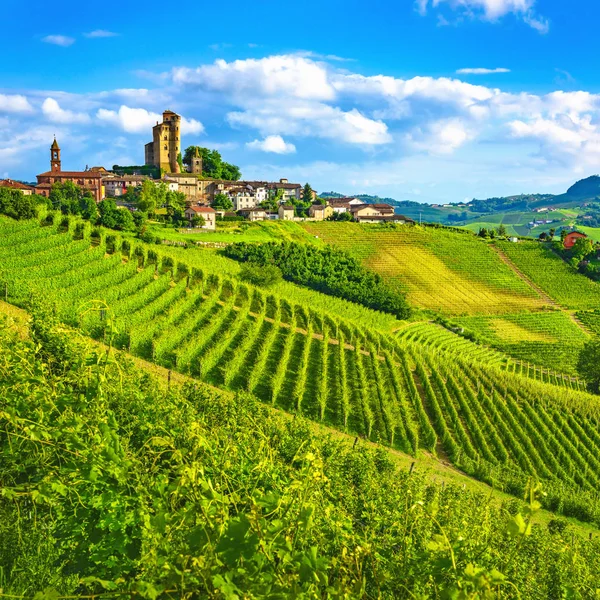 Langhe wijngaarden zonsondergang panorama, Serralunga Alba, Piemonte, Ita — Stockfoto