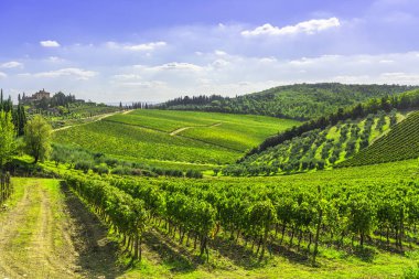 Bir Radda in Chianti bağ ve panorama adlı günbatımı. Toskana, İtalya