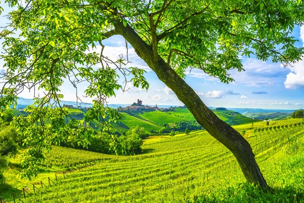 Langhe vineyards sunset panorama, Serralunga Alba, Piedmont, Ita — Stock Photo, Image