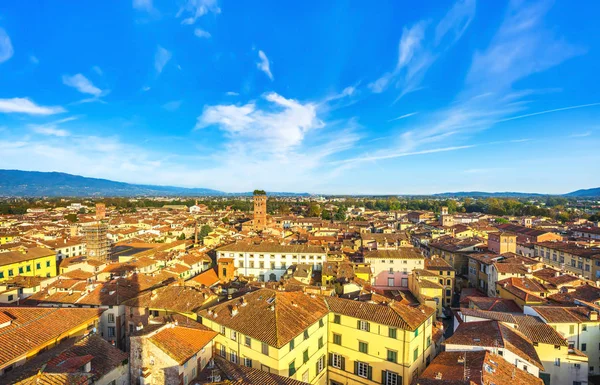 Lucca panoramisch uitzicht vanuit de lucht op de stad en de Guinigi toren. Toscane, — Stockfoto