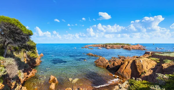 Esterel, árvore, rochas, praia e mar. Cote Azur, Provence, França — Fotografia de Stock