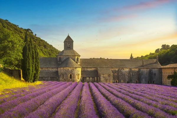 Abtei von Senanque blühenden Lavendelblüten Panoramablick. gord — Stockfoto