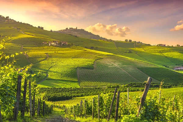 Вид виноградників на Ланге, Бароло і Ла - Морра, П "ємонт, Італія — стокове фото