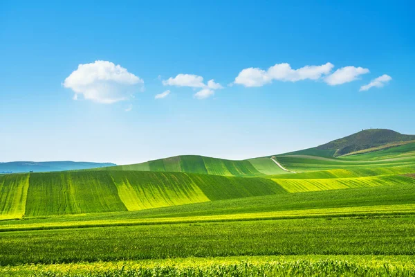 Apúlia vista rural paisagem colinas rolantes. Poggiorsini, Mu — Fotografia de Stock