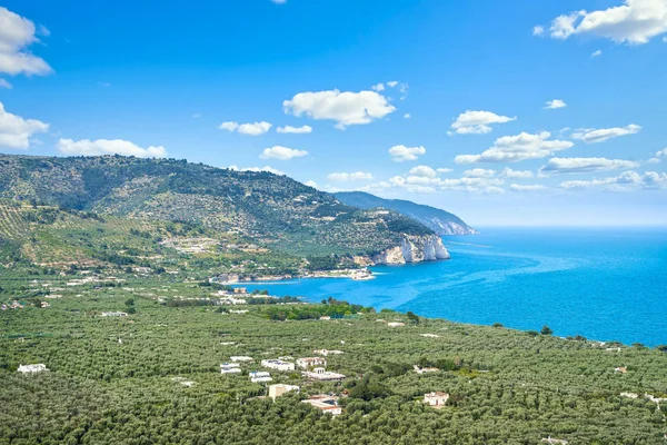 Mattinata, Gargano rotsachtige kust en olijfbomen, Apulië, Italië. — Stockfoto