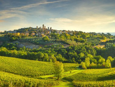 San Gimignano panoramik ortaçağdan kalma şehir manzarası ve vineyar kuleleri