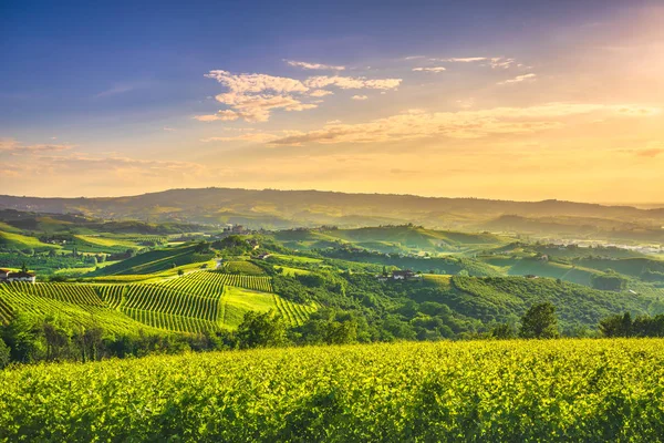 Langhe viñedos puesta del sol panorama, Grinzane Covour, Piamonte, Ita —  Fotos de Stock