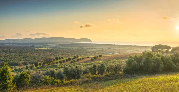 Maremma sunset panorama. Countryside, sea and Elba on horizon. S — Stock Photo, Image