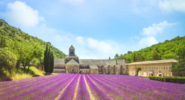 Senanque Manastırı ve lavanta çiçeği tarlası. Gordes, Luberon