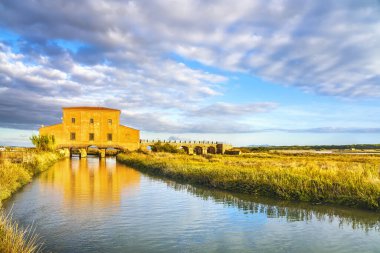 Castiglione della Pescaia Maremma, Diaccia Botrona Parkı. Toskana